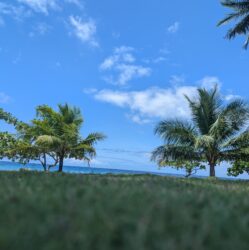 [2025年体験]フィリピンセブ島留学3カ月で実際にかかった費用全公開